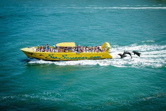 Sea Screamer Clearwater's Only Speed Boat Dolphin watching